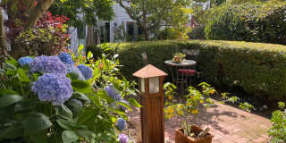 2937 Scott Gallery 44