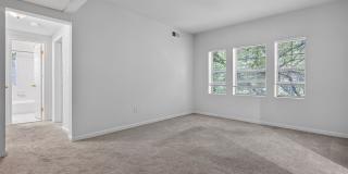 Simply Beautiful, Spacious 2 Bd/1Bth Condo on 50 acres of parklike setting w/ winding paths! Gallery 8