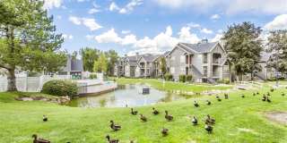 Stillwater Apartments Gallery 13