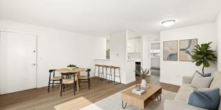 Driftwood Gallery 19