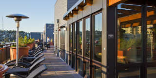 The Century Gallery 20