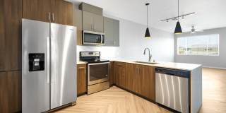 Olympus Alameda Gallery 1