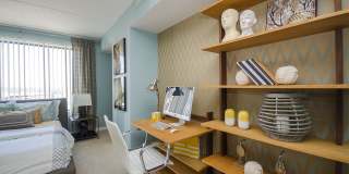 The Millie on Brush The Millie on Brush Gallery 7