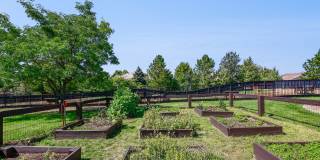 The Retreat at Park Meadows Gallery 47