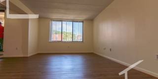 Huge 2 bed in Allston Gallery 17