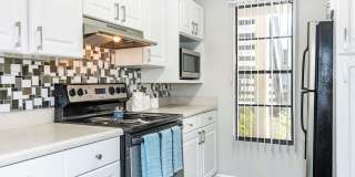 Solana Vista Gallery 35