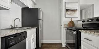 Bristol Grapevine Gallery 3