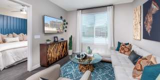 Birchway Tropicana Gallery 30