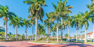 6073 BAHIA DEL MAR Boulevard Gallery 8