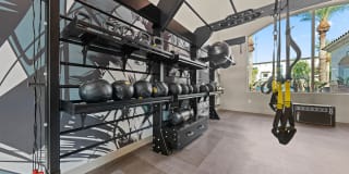 Bella Mirage Gallery 17