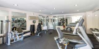 Tuscarora Creek Gallery 11