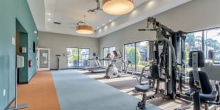 Cypress Run Gallery 6