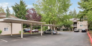 The Park at Cooper Point Apartments Gallery 15