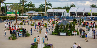 900 Cosmos Court Gallery 44