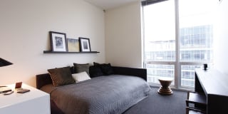 Arrive Lex Gallery 14