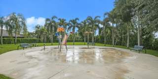 116 Palm Circle Gallery 36