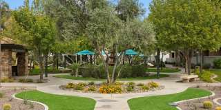 The Laurel Apartments Gallery 40