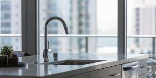 The Merian Gallery 92