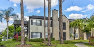 Cypress Run Gallery 11