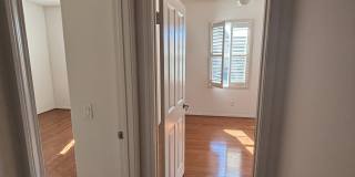 13512 Scarlet Sage Trail Gallery 11