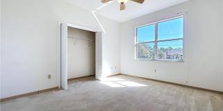 5950 N Petunia Terrace Gallery 30