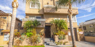 5308 Denny Ave. Gallery 21