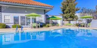 The Palisades Gallery 14