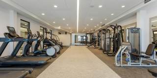 Delamarre at Celebration Gallery 10