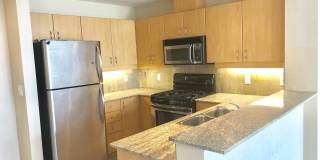 300 W. Beech St. #1506 300 W. Beech St. #1506 Gallery 1