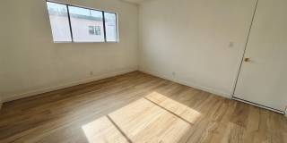 537 KOLSON CIR Gallery 6