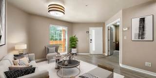 505 Collection 505 Collection Gallery 39