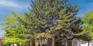 Tortugas Apartments Gallery 22
