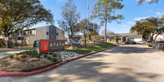 Avaya Steeplechase Gallery 1