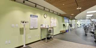 3210 N LEISURE WORLD Boulevard unit: 119 Gallery 49