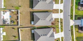 275 PUMA LOOP Gallery 36