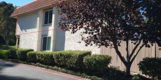 ALL UTILITIES INCLUDED! 3 Bed / 1 Bath Remodeled Condo/Duplex at Tanglewood ALL UTILITIES INCLUDED! 3 Bed / 1 Bath Remodeled Condo/Duplex at Tanglewood Gallery 7