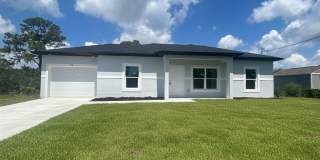NEW CONSTRUCTION! Modern 3BR/2BA Home with Garage-Peaceful Lake Placid Location Gallery 1
