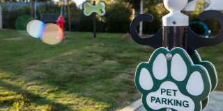 Echo at Lake Norman Gallery 25