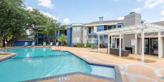 The Iris The Iris Gallery 17