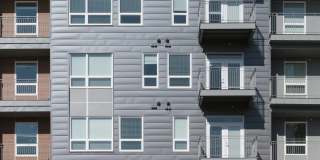 Emery West Highland Gallery 8