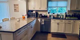 131 Cook Lane Gallery 7