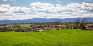 The Mark Townhomes Gallery 42