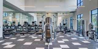 Nexus Brandon Gallery 27