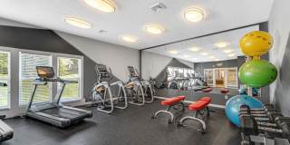 TGM Autumn Woods Gallery 15