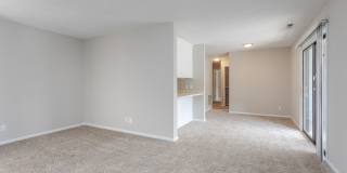 The Dawson Gallery 4