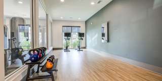 Century University City Gallery 4