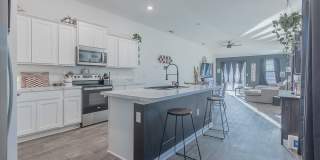 12634 CACAO TREE Trail Gallery 6