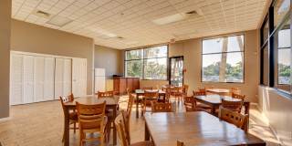 11073 Harbour Springs Circle Gallery 64