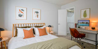 Treehouse Apartments Gallery 14