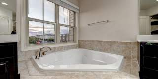23697 SAILFISH Square Gallery 22